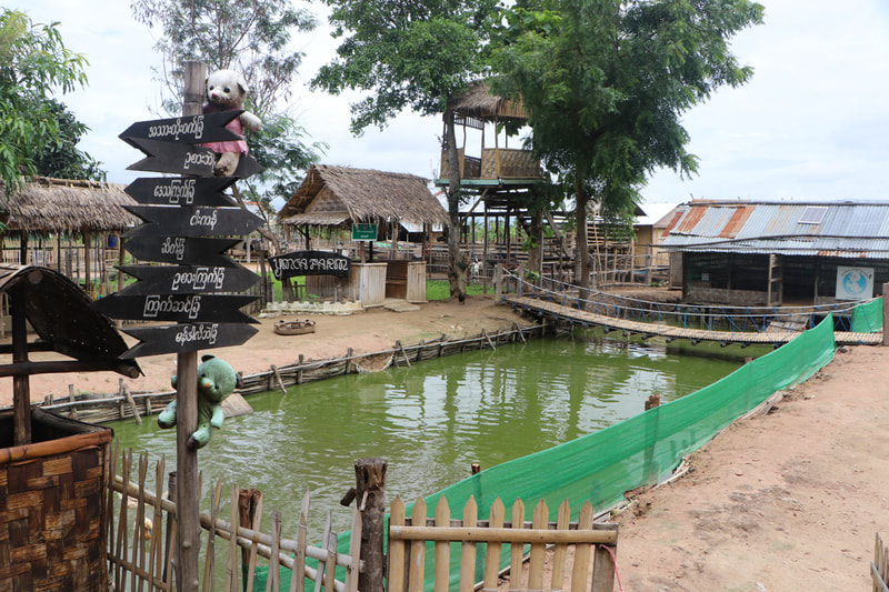 One of the ponds at the YMCA's organic farm in Nay Pyi Taw, Myanmar.