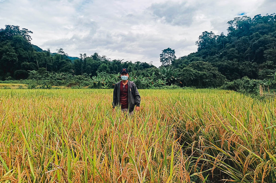 PictureENDO project manager Vang Sing stands in a section of rice paddy that forms part of the terraced cultivation initiative in Namlit Village in Myanmar's Naga Self-Administered Zone.