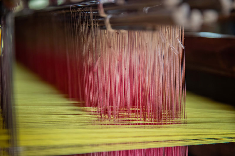 The interlocking warp (horizontal threads) and weft (vertical threads) on the loom.