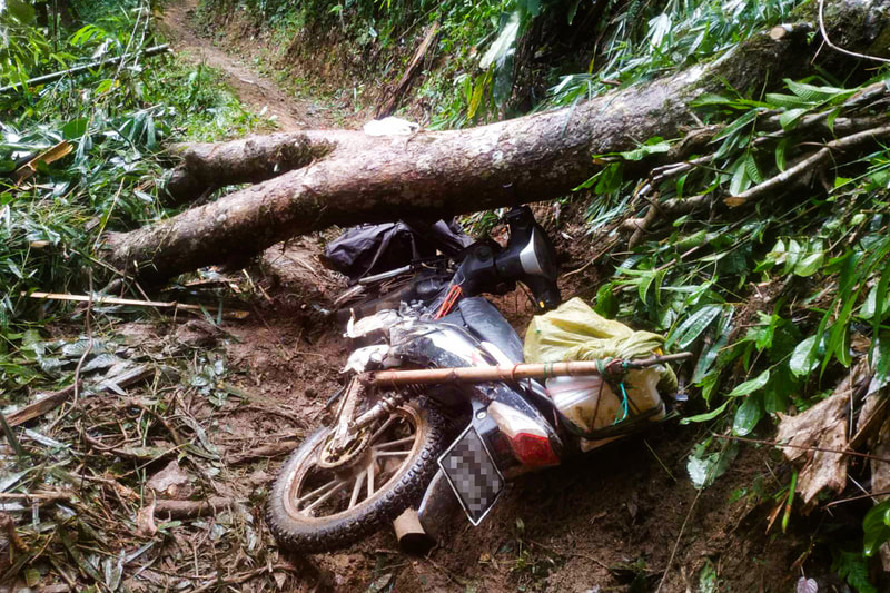 A motorcycle lies under a fallen tree on a muddy track in Karen (Kayin) State, Myanmar. 